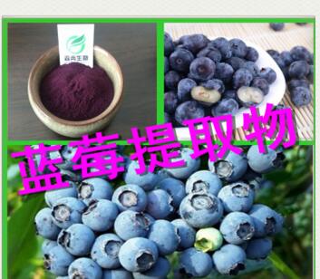 蓝莓提取物 越橘提取物10:1 蓝莓粉 品质保证厂家热销图2