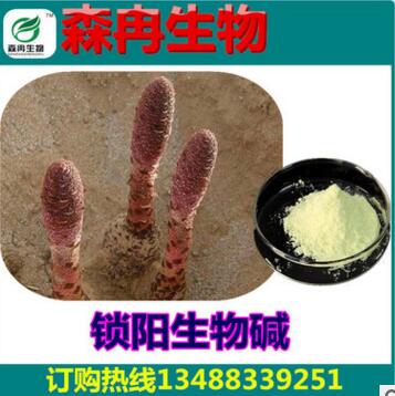 中药提取锁阳碱98%/锁阳提取物/锁阳生物碱 泡酒专用提取原料图3