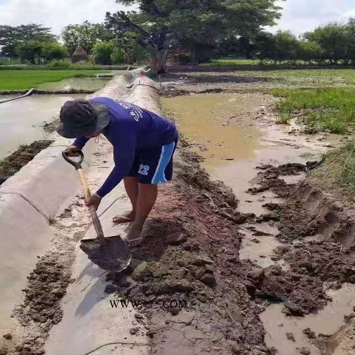 金信达厂家生产GCL膨润土垫 水泥毯 可定制 水泥毯厂家 水泥毯生产厂家图2