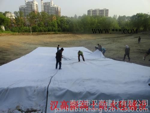 南长区膨润土防水毯,江阴膨润土防水毯